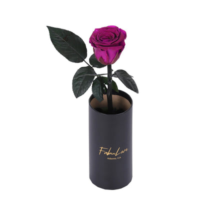 Klasyczna RóżaJedna Wieczna