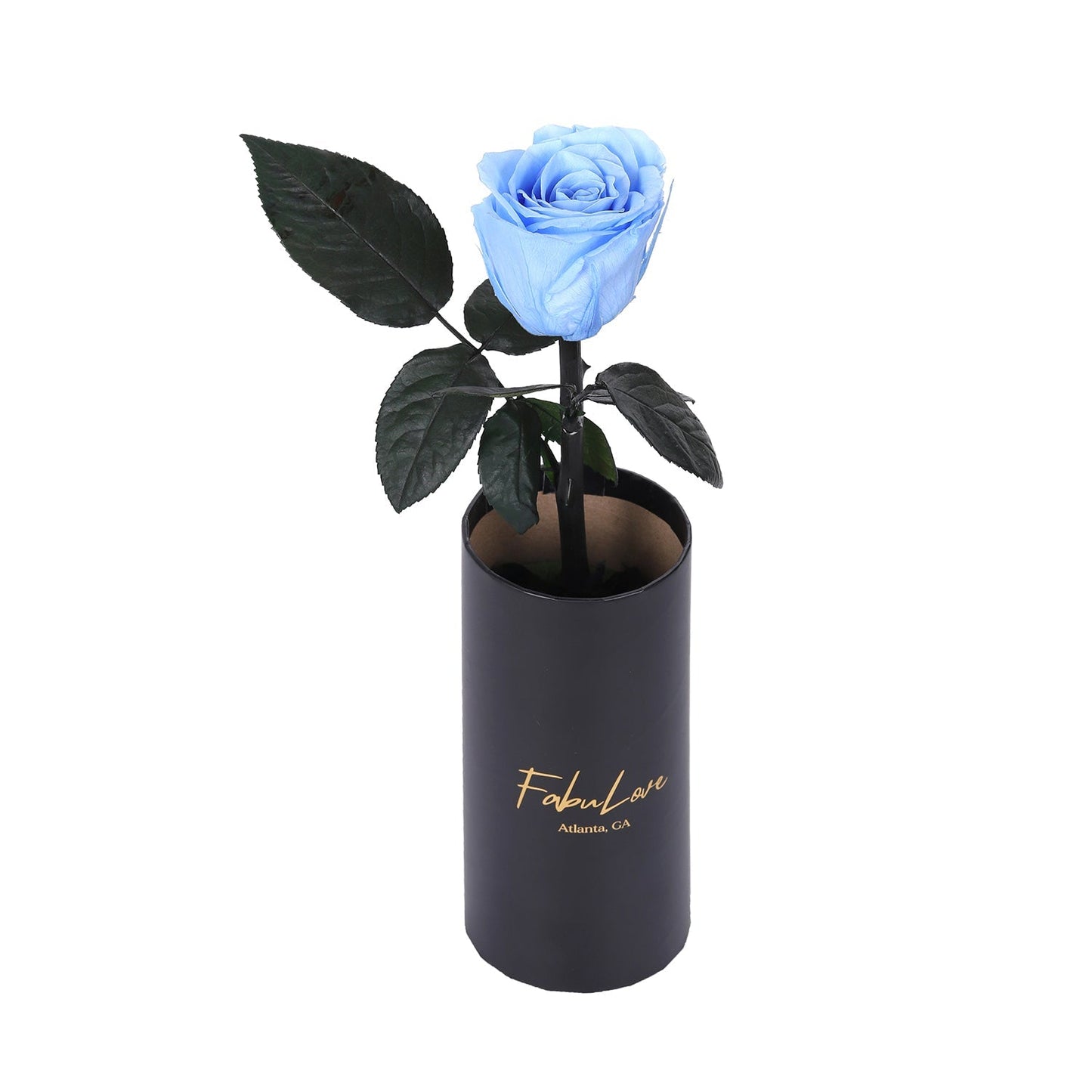 Klasyczna RóżaJedna Wieczna