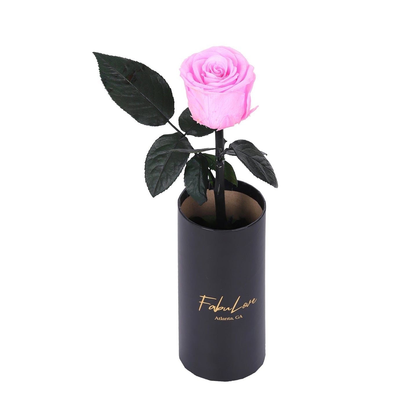 Klasyczna RóżaJedna Wieczna