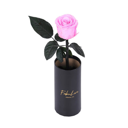 Klasyczna RóżaJedna Wieczna