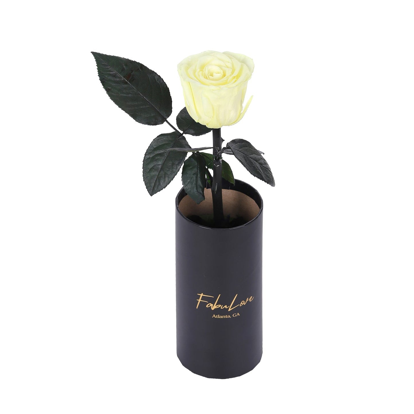 Klasyczna RóżaJedna Wieczna