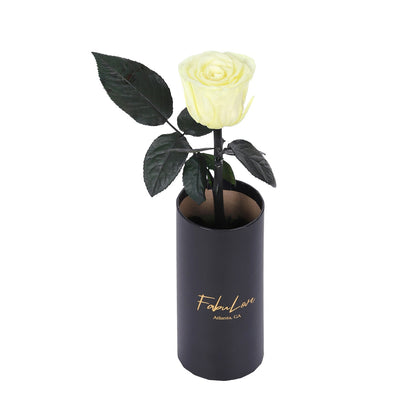 Klasyczna RóżaJedna Wieczna