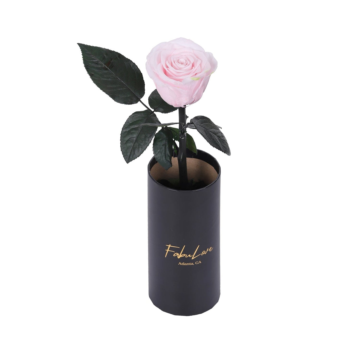 Klasyczna RóżaJedna Wieczna