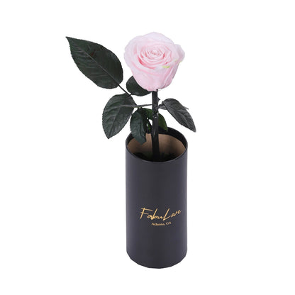 Klasyczna RóżaJedna Wieczna