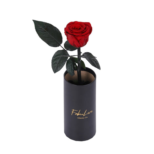 Klasyczna RóżaJedna Wieczna