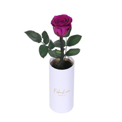 Klasyczna RóżaJedna Wieczna