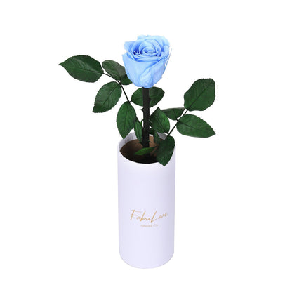 Klasyczna RóżaJedna Wieczna